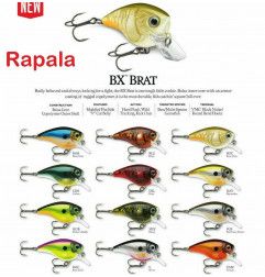 Rapala BX Brat vobler | BXB06