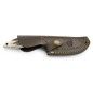 Puma IP Farkas lovački fiksni nož | rog | 20cm