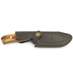 Puma IP Cervato lovački fiksni nož | drvo masline | 22cm