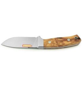 Puma IP Cervato lovački fiksni nož | drvo masline | 22cm