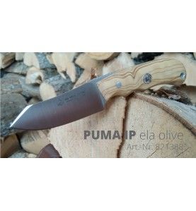 Puma IP Ela lovački fiksni nož | drvo masline | 16cm