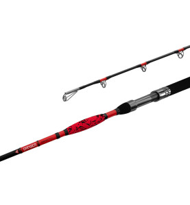 Delphin DANGER CatFISH štap | A350 | 3.10m
