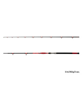 Delphin DANGER CatFISH štap | A350 | 3.10m
