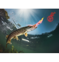Delphin STINX sprej za varalice | 30ml | Oyster red