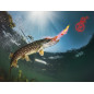 Delphin STINX sprej za varalice | 30ml | Oyster red Delphin STINX sprej za varalice | 30ml | Oyster red