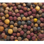 Mivardi RAPID MULTI MIX boile | 5kg