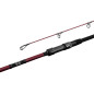 Delphin ETNA E3 šaranski štap | 3.5LBS | 3.80m