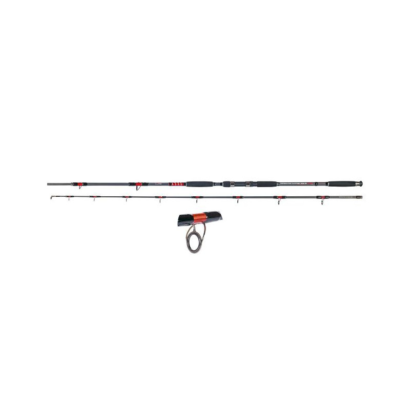 Fil Fishing IMPERATOR somovski štap | 400g | 2.85m