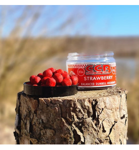 CCB balanced dumbells | 10/12mm | 60g