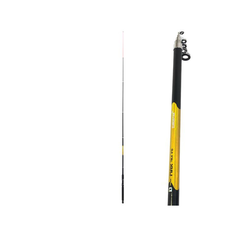 Eurostar D-MAX teleskopski štap | 3.00m | 40-80g