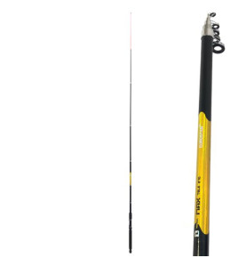 Eurostar D-MAX teleskopski štap | 3.00m | 40-80g