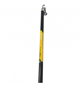 Eurostar D-MAX teleskopski štap | 3.00m | 40-80g