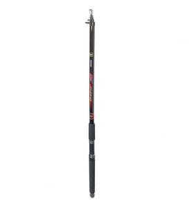Eurostar D-MAX FUEGOS teleskopski štap | A60 |  3.00m