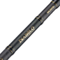 Balzer DIABOLO Golden Circle spin štap | 5-25g | 2.10m