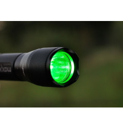 Maxenon LED žarulja | zelena