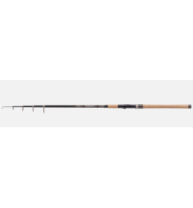 BALZER Diabolo Fury Tele Pike štap | 3m  25-70g