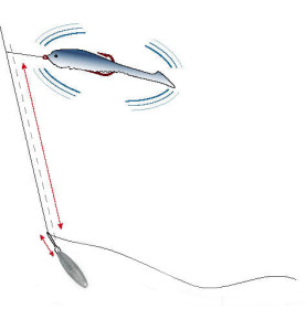 Balzer SHIRASU DROP SHOT olovo | 10g | 5 komada