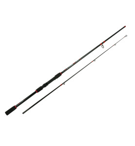DLT Splendid spin štap 10-30g | 2,1m