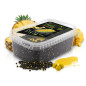 Delphin Pellet box READY&GO | više aroma Delphin Pellet box READY&GO | više aroma