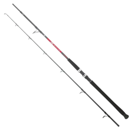Daiwa Ninja Catfish štap | 244cm-165g