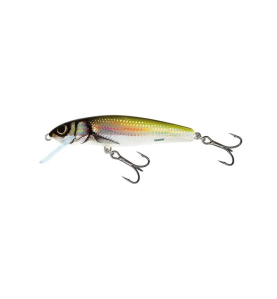 Salmo Minnow sinking vobler | 5cm | holo bleak