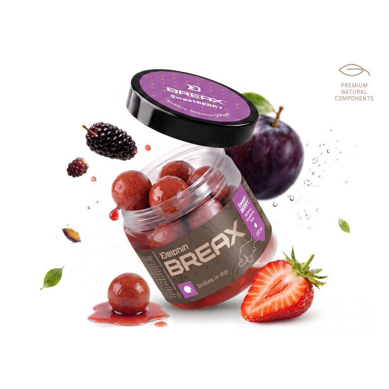 Delphin BreaX boile u dipu | SweetBERRY